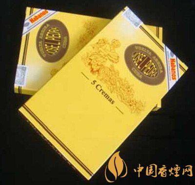 国外烟花厂爆炸蘑菇云【国外烟花厂爆炸重大事故】