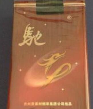 越代桫椤香烟探寻古韵风情品味价格之谜