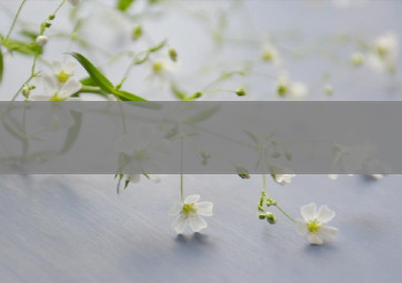 北京户外烟花直播